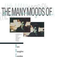 Ben Vaughn - The Many Moods Of Ben Vaughn Combo -   - (LP...