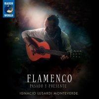 Ignacio Lusardi Monteverde - Flamenco: Pasado Y Presente...