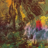 The Wake - Thought Form Descent (180g) -   - (Vinyl /...