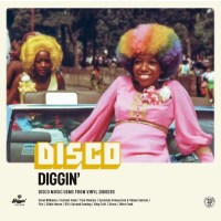 Various Artists - Disco Diggin -   - (LP / D)