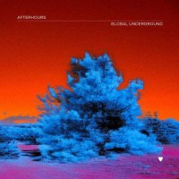 Various Artists - Global Underground: Afterhours 9 -   -...