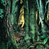 David Sylvian - Manafon (180g) -   - (Vinyl / Pop (Vinyl))