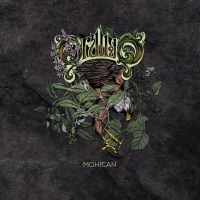 Orango - Mohican (180g) -   - (Vinyl / Pop (Vinyl))