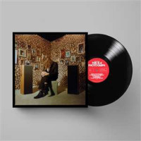 Kevin Morby: This Is A Photograph -   - (LP / T)