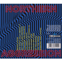 Steve Wynn (Dream Syndicate) - Northern Aggression -   - (CD / N)