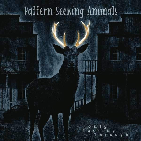 Pattern-Seeking Animals - Only Passing Through -   - (CD / O)