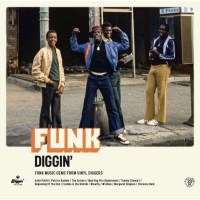 Various Artists - Funk Diggin -   - (Vinyl / Pop (Vinyl))