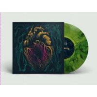 The Shadow Lizzards - Someones Heartache (Limited...