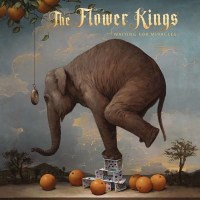 The Flower Kings - Waiting For Miracles -   - (CD / W)