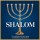 Shalom -   - (CD / S)