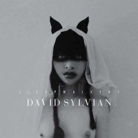 David Sylvian - Sleepwalkers (remastered) (180g)...