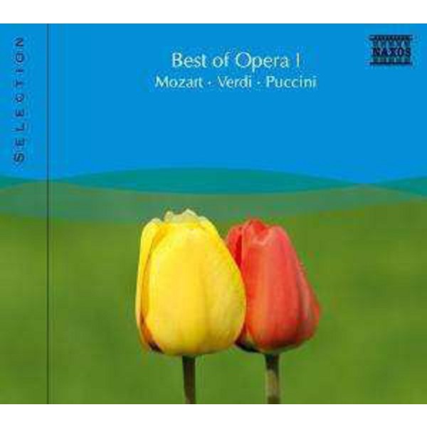 - Naxos Selection: Best of Opera Vol.1 -   - (CD / N)