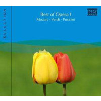 - Naxos Selection: Best of Opera Vol.1 -   - (CD / N)