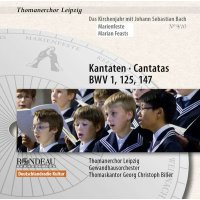 - Thomanerchor Leipzig - Das Kirchenjahr mit Bach Vol.9 -...