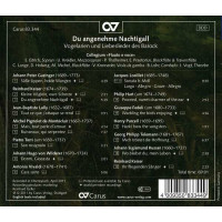 Johann Peter Guzinger (1683-1773) - Du angenehme Nachtigall - Barocke Vogelarien & Liebeslieder -   - (CD / D)