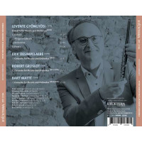 Levente Gyöngyösi - Peter Verhoyen - Piccolo Concerti -   - (CD / P)