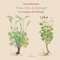 Luca Marenzio (1553-1599) - Madrigali Libro 1 -   - (CD / M)