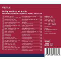 Ulrich Kaiser - Es singt und klingt mit Schalle -   - (CD / E)