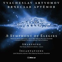 Vyacheslav Artyomov - Symphonie der Elegien -   - (CD / S)