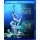 - Hamburg Ballett: Ein Sommernachtstraum -   - (Blu-ray Video / Classic)