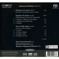 Johannes Brahms (1833-1897) - Kammermusik -   - (Classic / SACD)