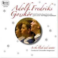 - Adolf Fredrik Boys Choir - In the Bleak Mid-Winter -...