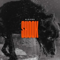 Algiers: Shook -   - (CD / Titel: Q-Z)