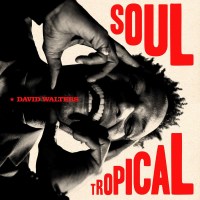 David Walters: Soul Tropical -   - (Vinyl / Pop (Vinyl))