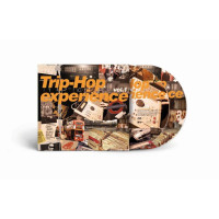 Various Artists: Trip Hop Experience Vol. 1 -   - (CD / T)