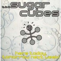 The Sugarcubes: Here Today, Tomorrow Ne -   - (CD / H)