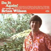 Various Artists: Do It Again! The Songs Of Brian Wilson -...