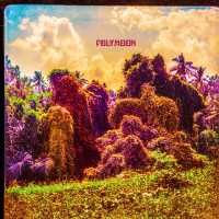 Polymoon: Chrysalis -   - (CD / C)