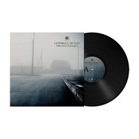 Downfall Of Gaia: Silhouettes Of Disgust (180g) -   -...