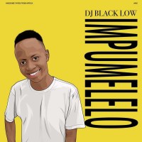 DJ Black Low: Impumelelo -   - (Vinyl / Pop (Vinyl))