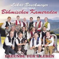 Freunde fürs Leben -   - (CD / F)