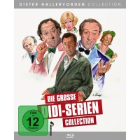 Die grosse Didi-Serien Collection (SD on Blu-ray) -   -...