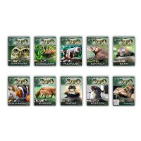 Abenteuer Zoo - Deutschland/Europa -   - (DVD Video /...