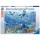 Puzzle Bunter Unterwasserspaß (3000 Teile) - Ravensburger 17444 - (Spielwaren / Puzzle)