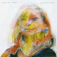 Brigid Mae Power: Dream From The Deep Well -   - (CD / D)