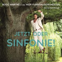 Bodo Wartke: Jetzt oder Sinfonie! -   - (Vinyl / Rock...