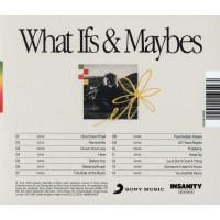 Tom Grennan: What Ifs & Maybes -   - (CD / W)