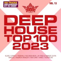 Various Artists: Deephouse Top 100 2023 Vol.13