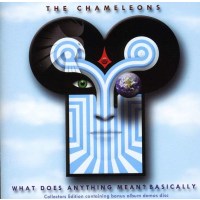 The Chameleons (Post-Punk UK): What Does Anything Mean......