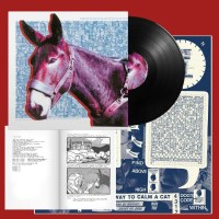 Protomartyr: Ultimate Success Today -   - (Vinyl / Pop...