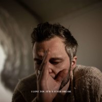 The Tallest Man On Earth: I Love You. Its A Fever Dream.