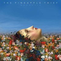 The Pineapple Thief: Magnolia -   - (Vinyl / Rock (Vinyl))