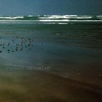 Downpilot: The Forecast -   - (Vinyl / Rock (Vinyl))