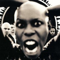 Skunk Anansie: Stoosh -   - (Vinyl / Rock (Vinyl))