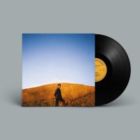 Sam Burton: Dear Departed -   - (Vinyl / Rock (Vinyl))