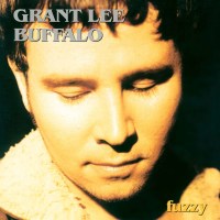 Grant Lee Buffalo: Fuzzy (2023 Remaster) (180g) (Clear...